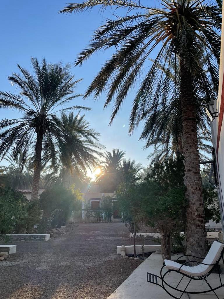 Hotel Dar Barka Kebili Zewnętrze zdjęcie
