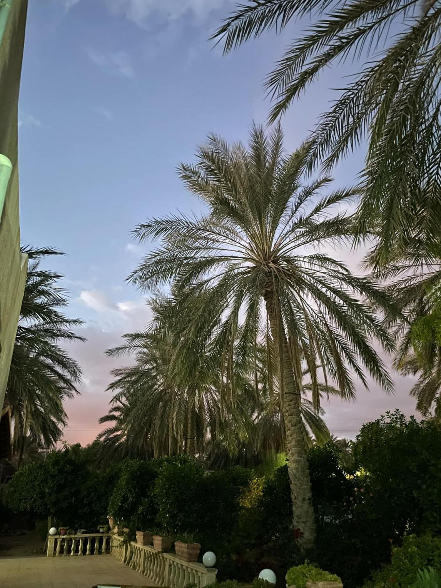 Hotel Dar Barka Kebili Zewnętrze zdjęcie